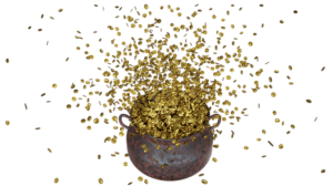 Die Neue Big Five Münzreihe aus Südafrika